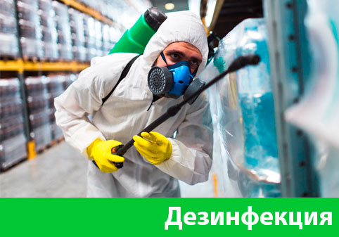 Дезинфекция в городе Дзержинск