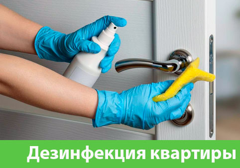 Дезинфекция квартиры в городе Дзержинск