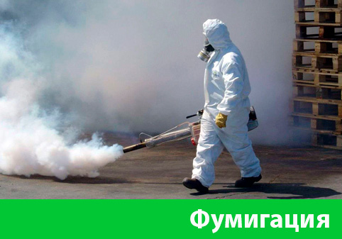 Фумигация в городе Дзержинск
