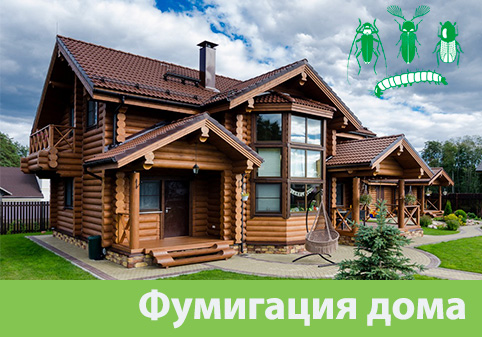 Преимущества обработки газом в городе Дзержинск