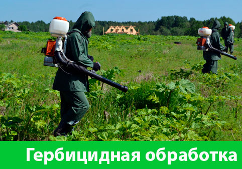 Гербицидная обработка в городе Дзержинск