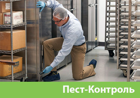 Пэст-Контроль в городе Дзержинск