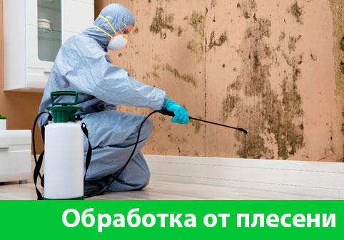 Обработка от плесени в городе Дзержинск