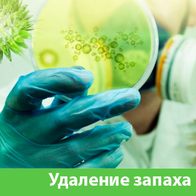 Удаление запахов в Дзержинске
