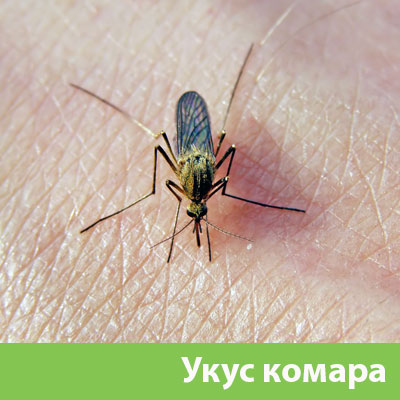 Укусы комаров в Дзержинске