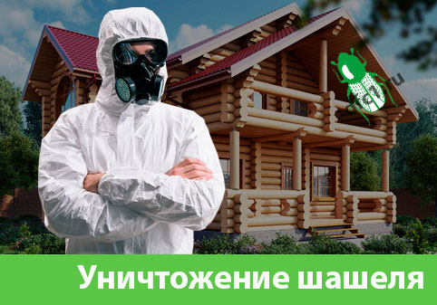 Уничтожение шашеля и личинок в Дзержинске