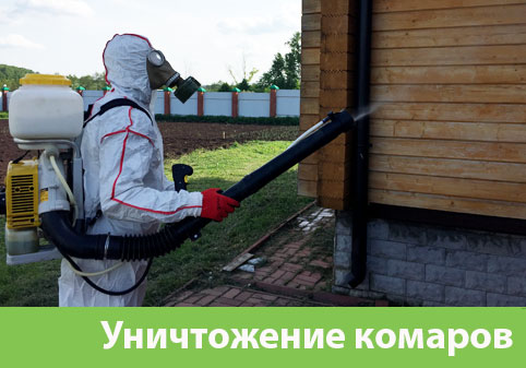 Уничтожение комаров в городе Дзержинск